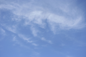kumo1.jpg