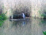 NEC_0152.jpg