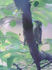 NEC_0199.jpg