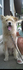 2010090417570000.jpg