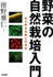 tokuno.jpg