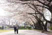 20140409.jpg